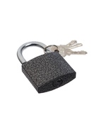 Замок навесной LOCKLAND, с влагозащитной дужкой, 50 мм - Фото 2