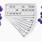 Русское лото подарочное «С Новым годом», 24 карточки - Фото 2