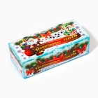 Русское лото подарочное «С Новым годом», 24 карточки - Фото 3