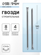 Гвозди ТУНДРА, строительные, ГОСТ 4028-63, без покрытия, 4×120 мм, фасовка 0.2 кг - Фото 1