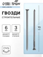 Гвозди ТУНДРА, строительные, ГОСТ 4028-63, без покрытия, 3×70 мм, фасовка 0.2 кг - Фото 1