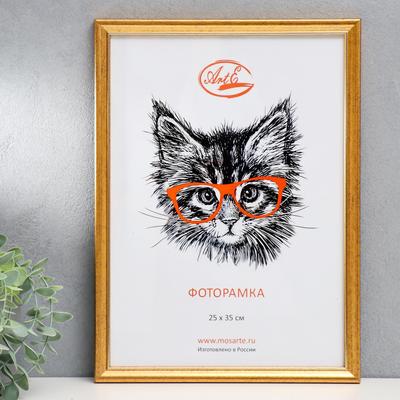 Фоторамка для фото 25×35 см Ruby, пластик, состаренное золото (пластиковый экран)