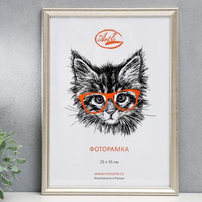 Фоторамка для фото 25×35 см, пластик, состаренное серебро, (пластиковый экран)