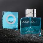 Туалетная вода мужская OCEAN AQUA, 100 мл - фото 318582325