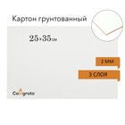 Картон грунтованный 25×35 см, толщина 2 мм, 3-х слойный акриловый грунт, Calligrata - Фото 1