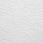 Картон грунтованный 50 х 60 см, толщина 2 мм, 3-х слойный акриловый грунт, Calligrata (комплект 5 шт) - фото 22789323