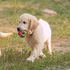 Мяч «Большая молекула», 10 см, микс цветов 5865055