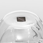 Кружка стеклянная с двойными стенками Magistro «Дуо. Tea», 200 мл, 12,5×9×7,5 см - Фото 6