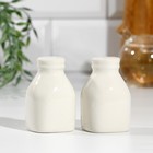 Набор «Искусство», солонка, перечница - фото 24313325