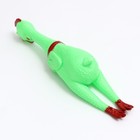 Игрушка пищащая "Задумчивая курица XL" для собак, 41 см, зелёная - фото 6450873