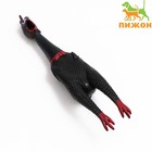 Игрушка пищащая "Задумчивая курица XL" для собак, 41 см, чёрная - фото 318583122
