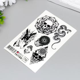 Татуировка на тело "Череп, змея" 10х15 см