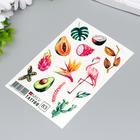 Татуировка на тело "Фрукты" 10х15 см - фото 34243033