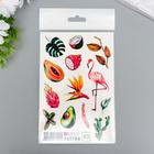 Татуировка на тело "Фрукты" 10х15 см - фото 34243034