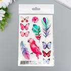 Татуировка на тело "Перья, бабочки" 10х15 см - фото 22462809