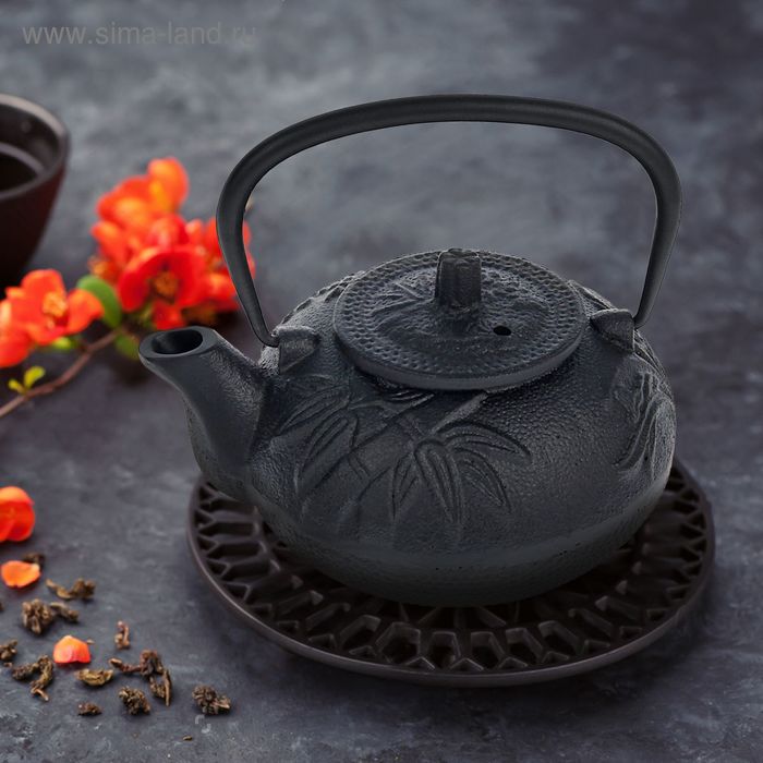 Чайник с ситом 600 мл "Лола" 15х8,5 см, цвет черный - Фото 1