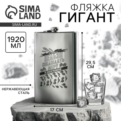 Фляжка ГИГАНТ «Нельзя соблюдать меру», 1920 мл, серебристая