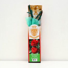 Саженец розы 