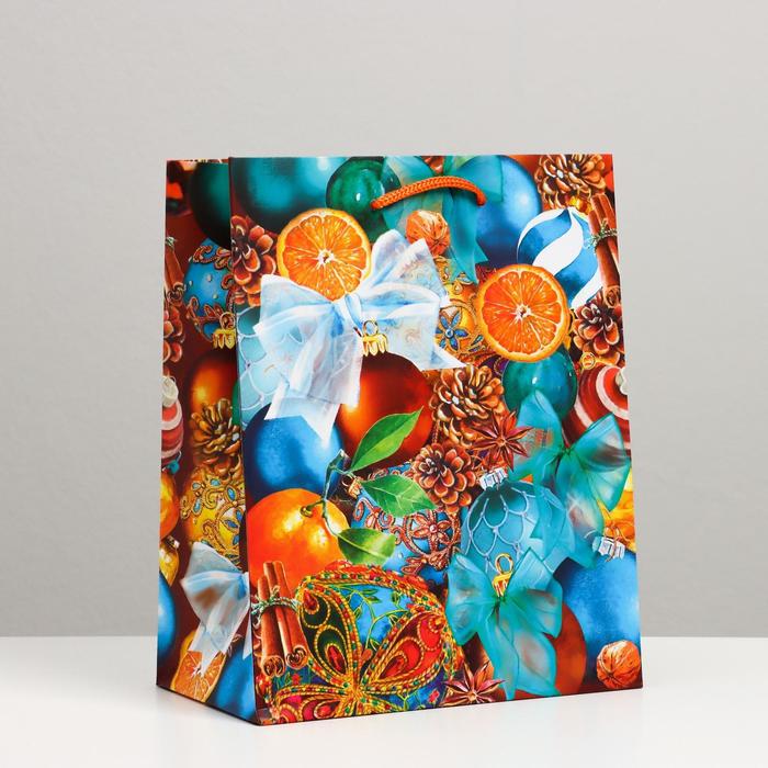 Пакет подарочный "Апельсины", 18 х 22,3 х 10 см - Фото 1