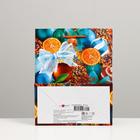 Пакет подарочный "Апельсины", 18 х 22,3 х 10 см - Фото 2