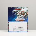 Пакет подарочный новогодний «Фонарь в лесу», 18?22.3?10 см (комплект 12 шт) - фото 50613898