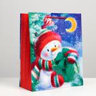 Пакет подарочный "Снеговик с подарком", 26 х 32 х 12 см - фото 321298260