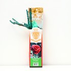 Саженец розы "Перль Нуар ", 1 шт, туба, Весна 2023 - Фото 1