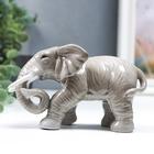 Сувенир керамика "Серый слон - хобот закручен" 10,5 см - фото 21327003