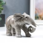 Сувенир керамика "Серый слон - хобот закручен" 10,5 см - фото 21327004