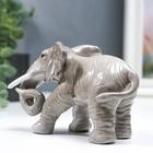 Сувенир керамика "Серый слон - хобот закручен" 10,5 см - фото 21327005