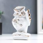 Фигурка керамика «Мудрый филин с пенсне, на книгах», белый с золотом, 12 см 6976677