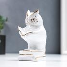 Сувенир керамика "Филин с книгой, на книгах" белый с золотом 12 см - фото 119409690