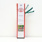 Саженец розы "Шнивитхен ", 1 шт, туба, Весна 2023 - Фото 2