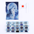 Алмазная мозаика с полным заполнением на холсте «Волк», 15×21 см - Фото 3