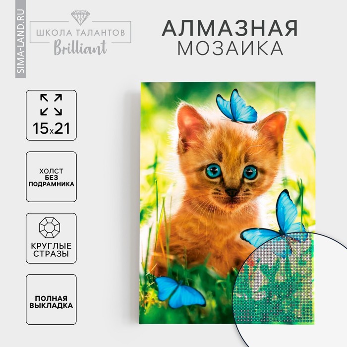 Алмазная мозаика с полным заполнением на холсте «Котёнок с бабочками», 15×21 см - Фото 1