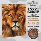 Алмазная мозаика с полным заполнением на холсте «Лев», 15×21 см - Фото 8