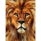 Алмазная мозаика с полным заполнением на холсте «Лев», 15×21 см - Фото 2