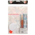 Алмазная мозаика с полным заполнением на холсте «Лев», 15×21 см - Фото 6