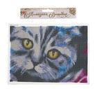 Алмазная мозаика с полным заполнением на холсте «Кот», 15×21 см - Фото 4