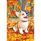 Алмазная мозаика с полным заполнением на холсте «Щенок и осень», 15×21 см - Фото 2