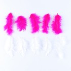 Набор перьев для декора, набор 10 шт., размер 1 шт: 10×2 см, цвета МИКС - фото 7771516