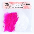 Набор перьев для декора, набор 10 шт., размер 1 шт.: 10×2 см, цвета МИКС - Фото 2