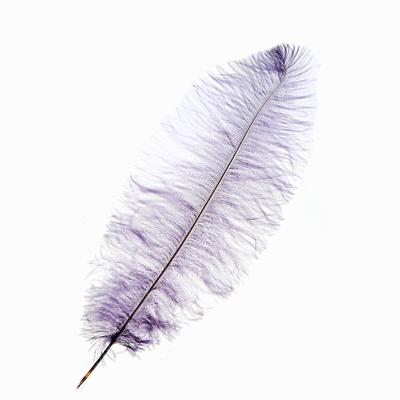 Перо для декора, длина: от 45 до 50 см, цвет серый