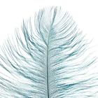 Перо для декора, длина от 45 до 50 см, цвет пудрово-зелёный - фото 31990415