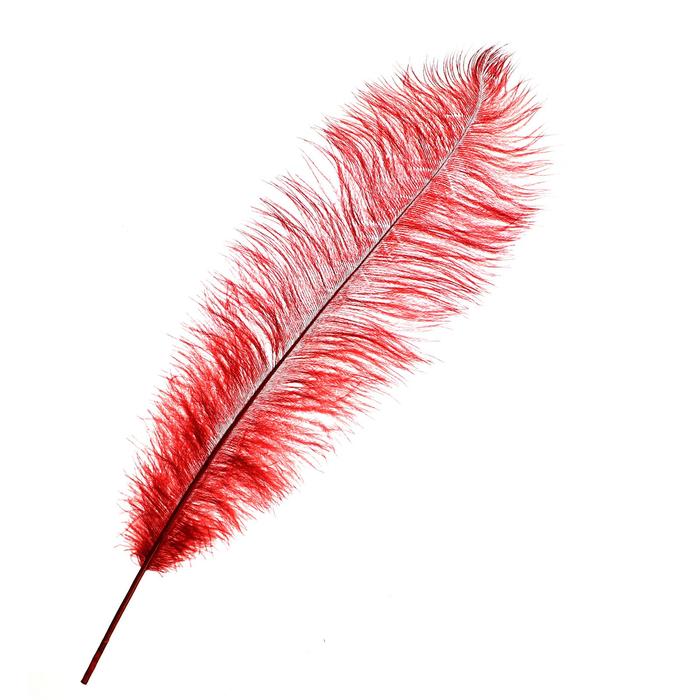 Перо для декора, длина: от 45 до 50 см, цвет бордовый - Фото 1