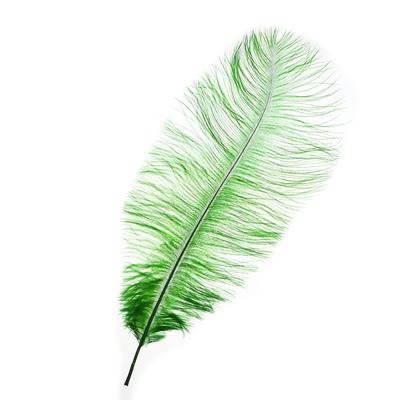 Перо для декора, длина: от 45 до 50 см, цвет изумрудный