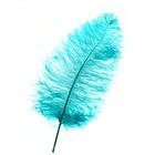 Перо для декора, длина: от 45 до 60 см, цвет изумрудный - Фото 1