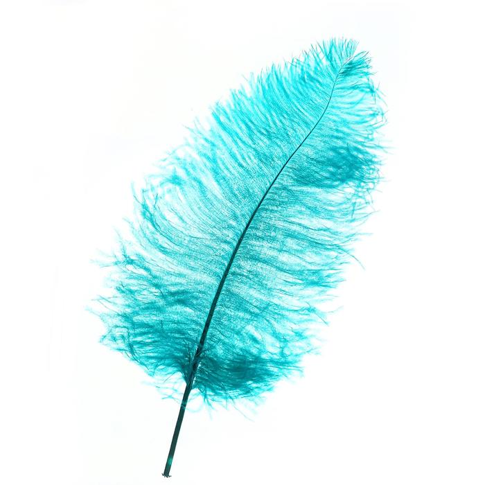 Перо для декора, длина: от 45 до 60 см, цвет изумрудный - Фото 1