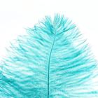 Перо для декора, длина: от 45 до 60 см, цвет изумрудный - Фото 2
