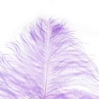 Перо для декора, длина: от 45 до 60 см, цвет сиреневый - фото 21327935